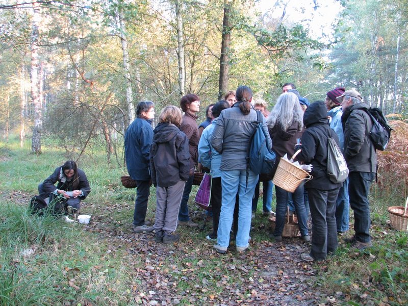 Mares au vinaigre 12